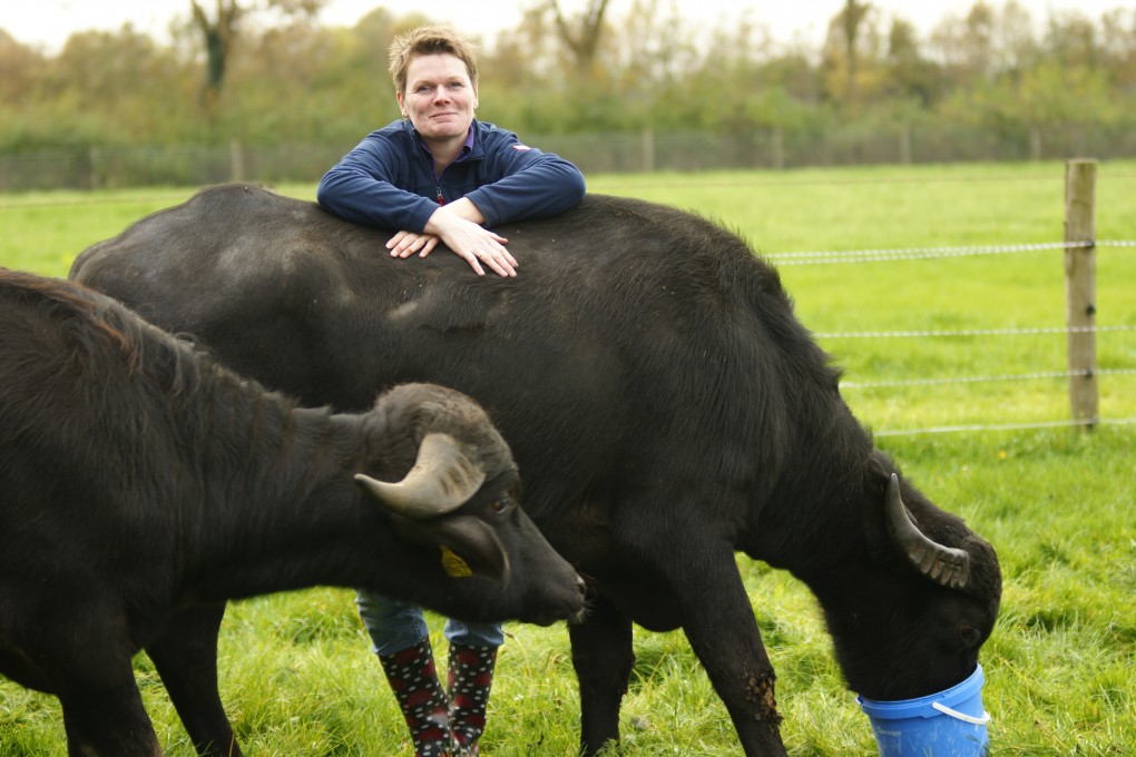 De Waterbuffelfarm — photo 6